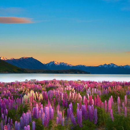Lake Views At Antler Lodge Lac Tekapo Extérieur photo