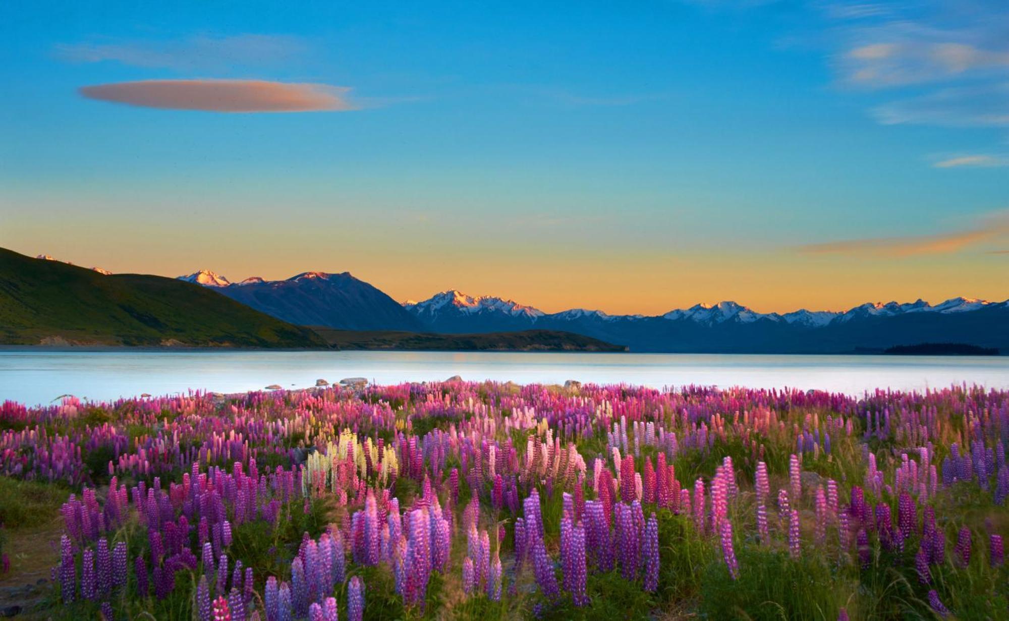 Lake Views At Antler Lodge Lac Tekapo Extérieur photo